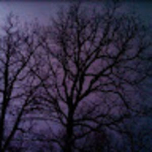 Meet your Posher, Vickey